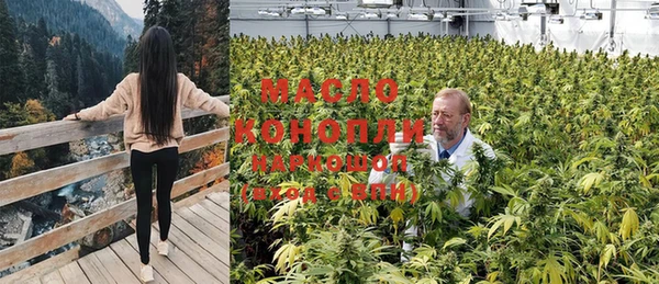 амф Богданович