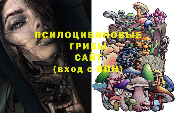 амф Богданович