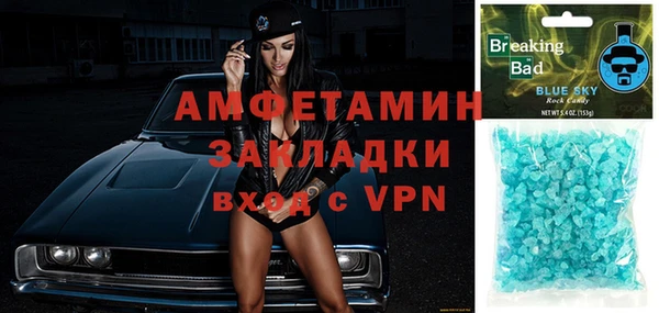 прущие грибы Чита