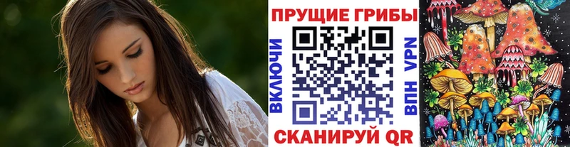 Купить где  Морозовск  Галлюциногенные грибы мицелий 