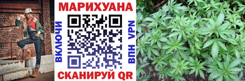 Купить где  Морозовск  Конопля Bruce Banner 